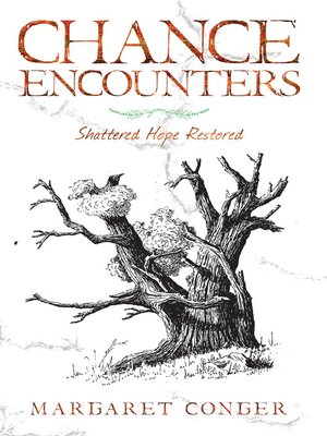 cover image of Chance Encounters